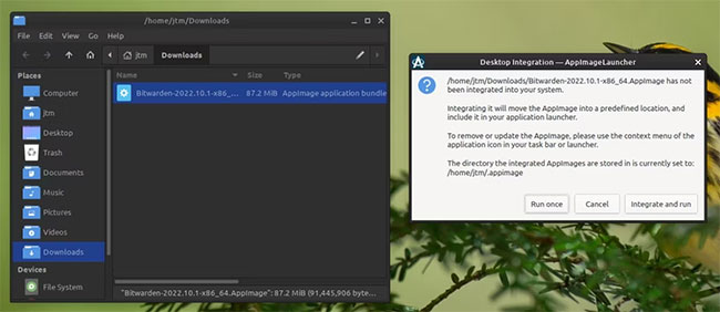 Zinc tích hợp đầy đủ Linux AppImages