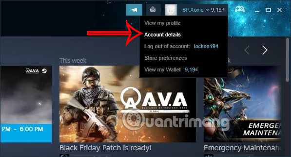 Chi tiết tài khoản Steam 