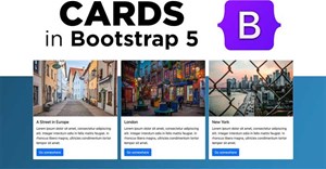Bài 17: Cards trong Bootstrap 5