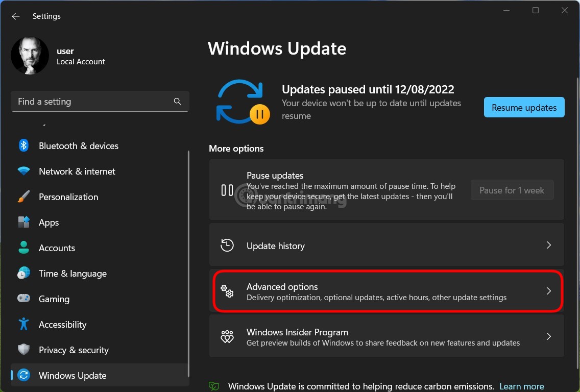 nhấn vào Advanced options ở ô Windows Update