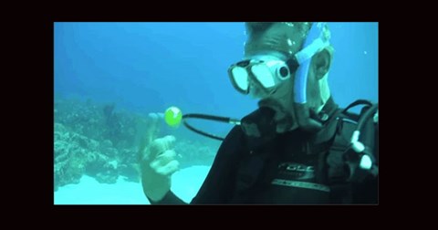 Điều gì xảy ra khi đập vỡ quả trứng dưới nước sâu 20m