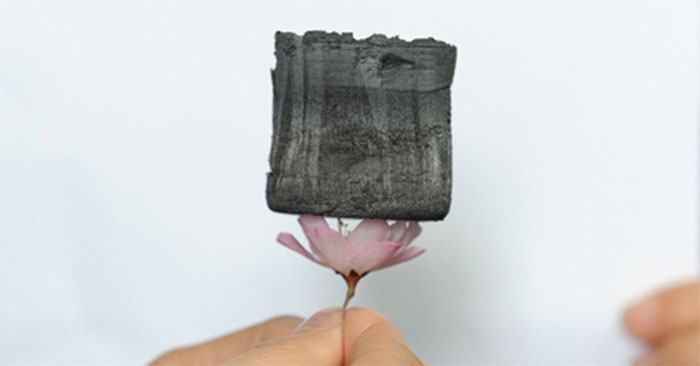 Một miếng carbon aerogel nằm trên bông hoa đào mà những cánh hoa không cong. Ảnh: Tân Hoa Xã.