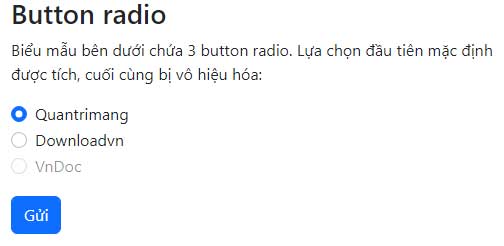 Bài 33: Checkbox Và Radio Button Trong Bootstrap 5 - QuanTriMang.com