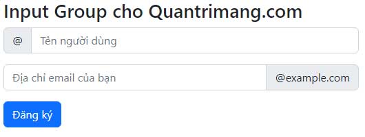 Bài 35: Input Group Trong Bootstrap 5 - QuanTriMang.com