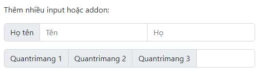 Thêm nhiều input hoặc addon
