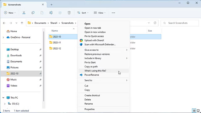 Mở file trong File Locksmith trên Windows 11