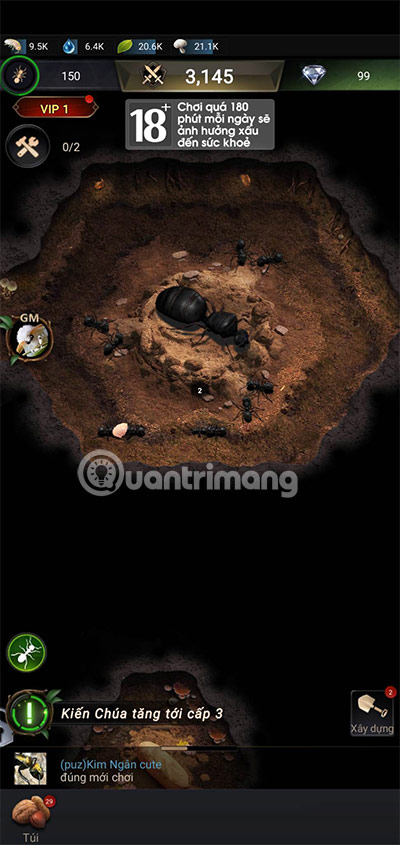 vương quốc kiến code