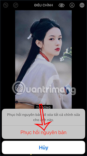 Phục hồi nguyên bản hình ảnh