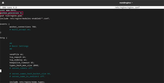 File nginx.configuration hiển thị 4 bộ xử lý được cấu hình