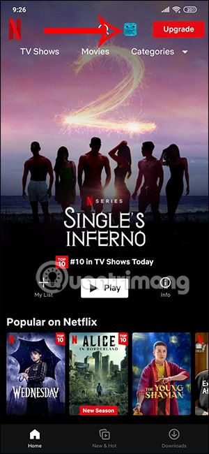 Hồ sơ trên Netflix