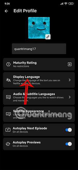 Ngôn ngữ hiển thị trên Netflix