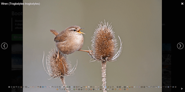 Bootstrap Image Gallery