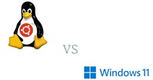 Windows vs Ubuntu Linux: Đâu là sự lựa chọn tốt hơn cho game thủ sử dụng GPU AMD?