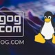 Cách cài đặt và chơi game GOG trên Linux