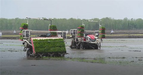 Bên trong trang trại 'không người', vận hành hoàn toàn tự động nhờ robot và máy móc