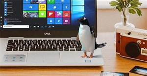 Cách di chuyển và chia sẻ file giữa Windows và Linux