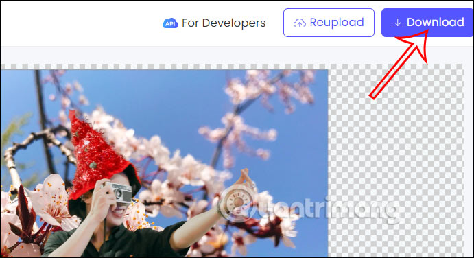 Tải ảnh nền mới trên PicWish