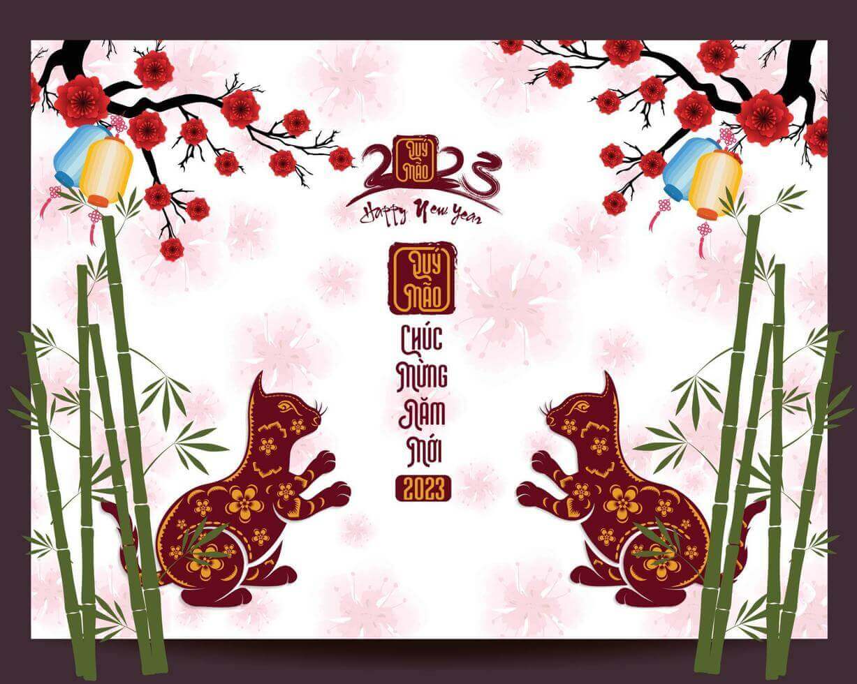 ảnh bánh chưng