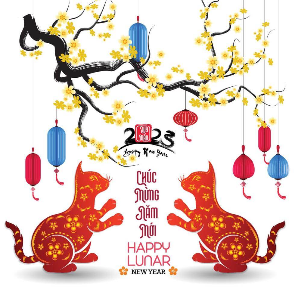 ảnh lì xì