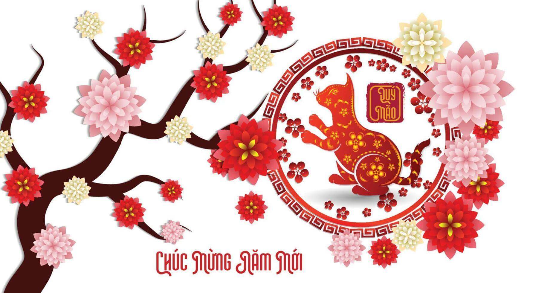 hình ảnh tết 2023
