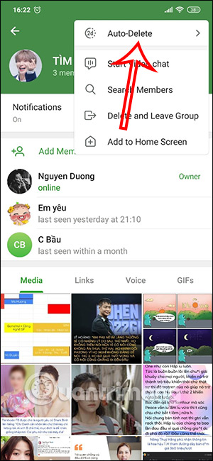 Chế độ xóa tin nhắn tự động nhóm chat Telegram