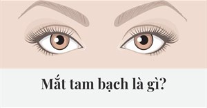 Mắt tam bạch là gì? Ý nghĩa của mắt tam bạch