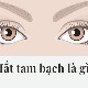 Mắt tam bạch là gì? Ý nghĩa của mắt tam bạch