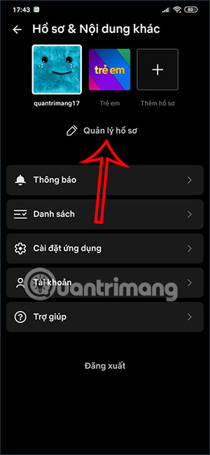 Danh sách hồ sơ Netflix