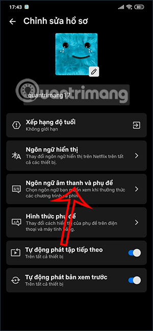 Ngon ngữ và âm thanh trên Netflix