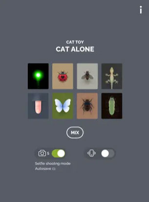 Cat Alone 