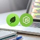 Cách dùng Database Transaction với MongoDB và Node.js