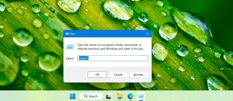 Regedit được mở trong Windows Run 