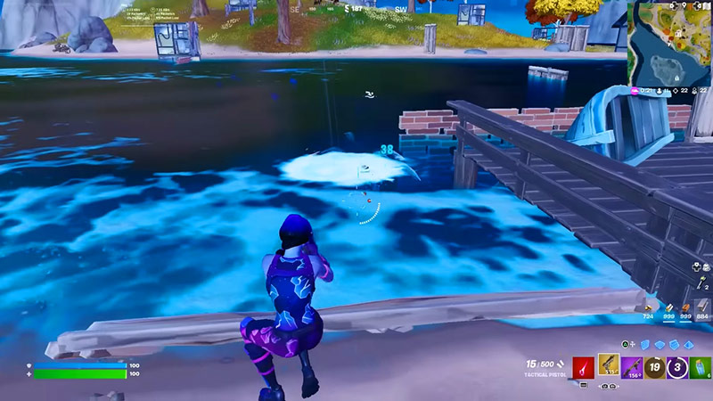 hien thi ping fortnite 5