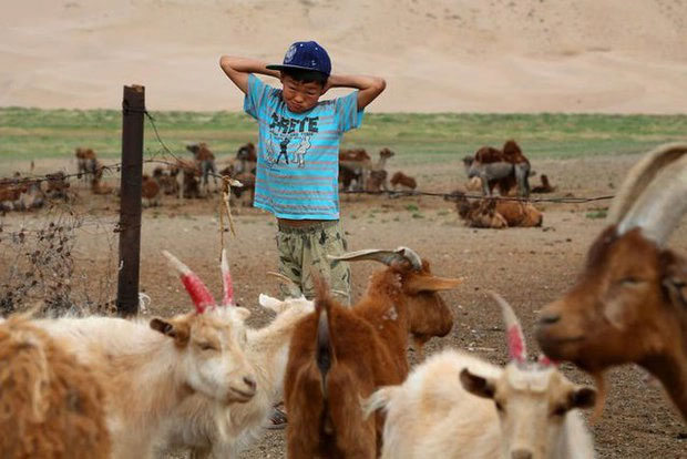 Một cậu bé bắt đầu ngày mới trên sa mạc Gobi, Mông Cổ, năm 2014.