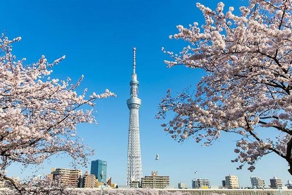 Tháp Tokyo Skytree - công trình cao nhất Nhật Bản