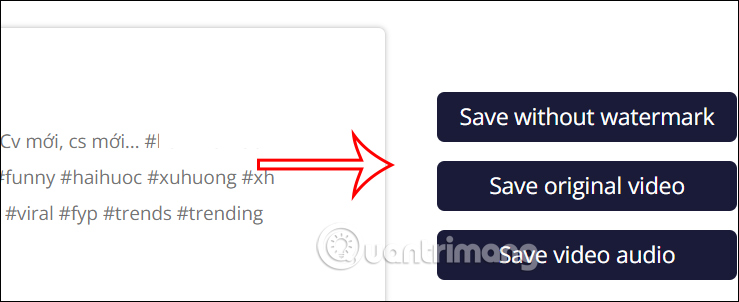 DmSave tải video TikTok