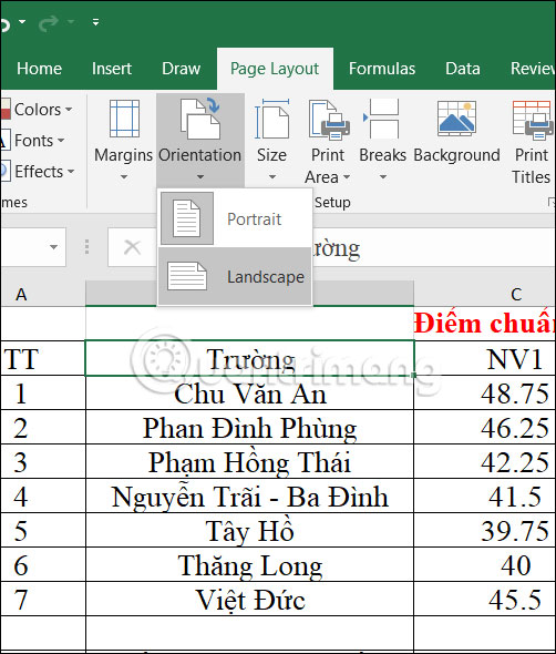 Chọn kiểu in trong Excel