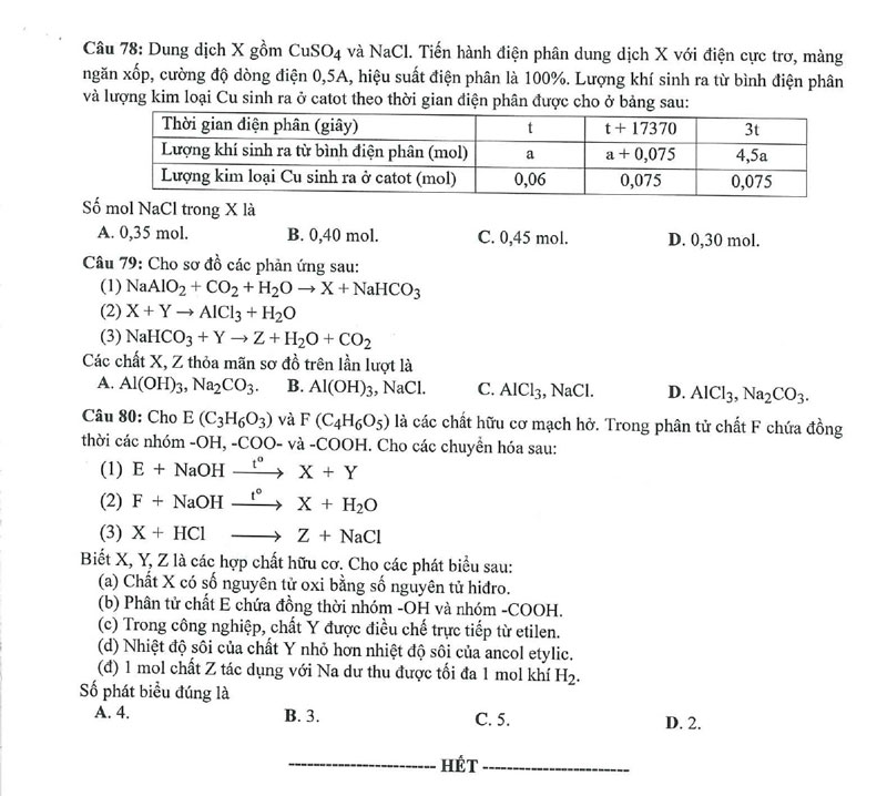mon hoa 4*266831
