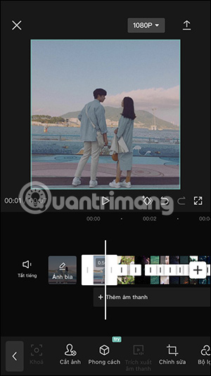 Ảnh trong video