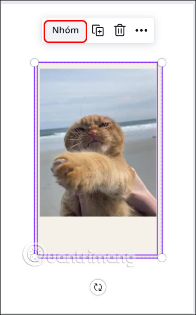 Nhóm hình ảnh và khung polaroid