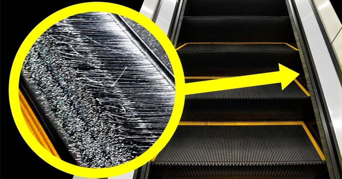 Phần lông ở thang cuốn