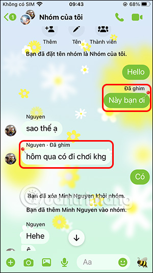 Các tin nhắn Messenger đã ghim