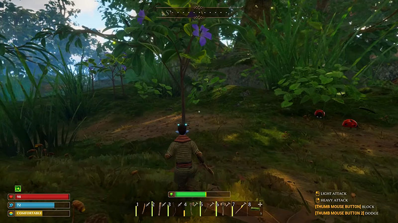 cau hinh smalland survive