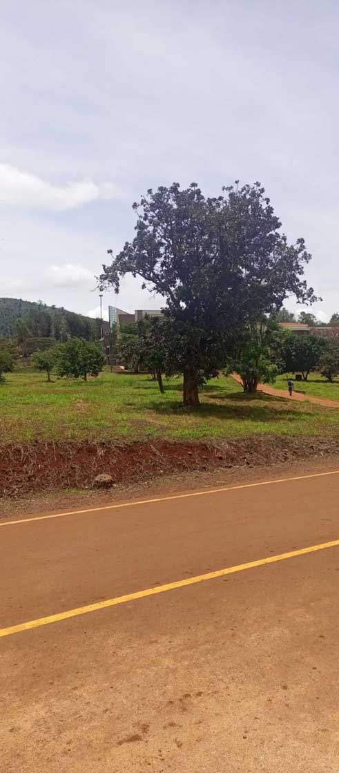 Ghép ảnh bằng Python