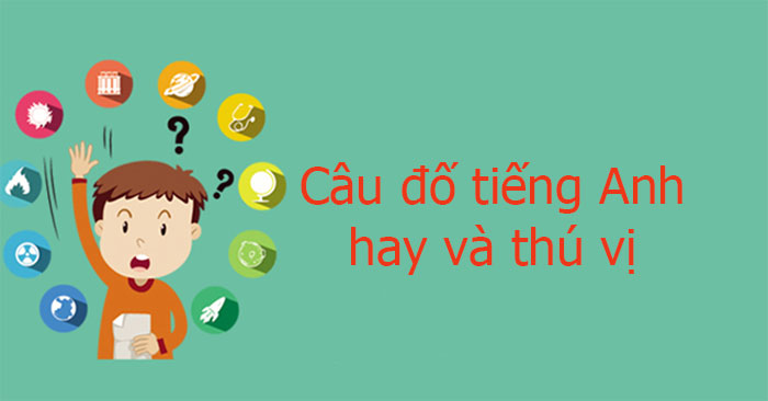 Câu đố tiếng Anh