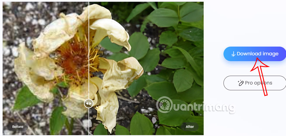 Làm nét ảnh trên PicWish