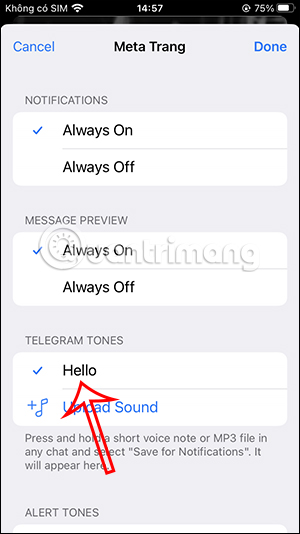 Chọn âm báo trên Telegram