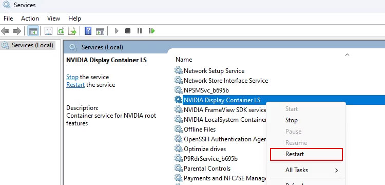 Service NVIDIA Display Container