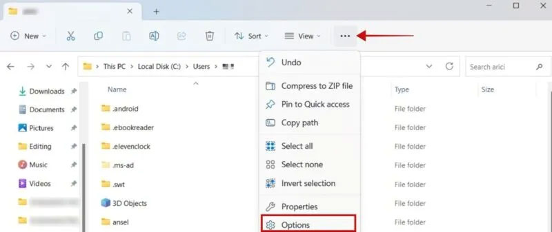 Options trong File Explorer.