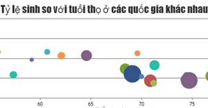 Code JavaScript tạo biểu đồ & đồ thị bong bóng